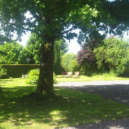 Les Temps Gourmands Bed & Breakfast Mondrepuis Exterior photo